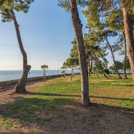 Apartment Hannah Novigrad Istria Exterior foto