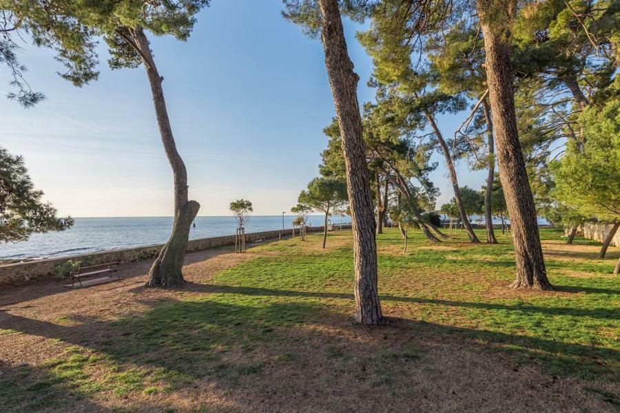 Hannah * Novigrad Istria